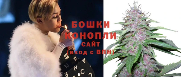 шишки Горнозаводск