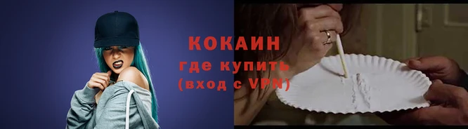 стафф Горно-Алтайск