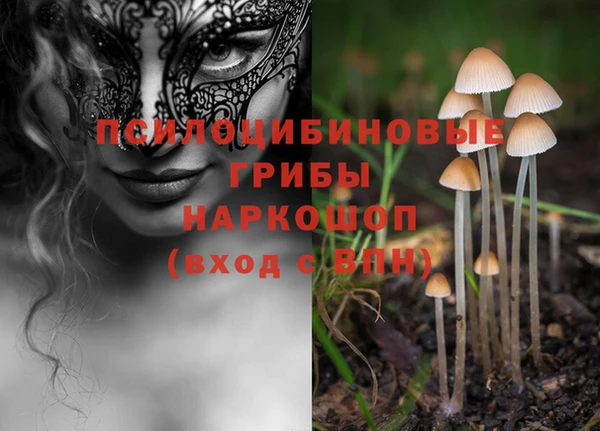 шишки Горнозаводск