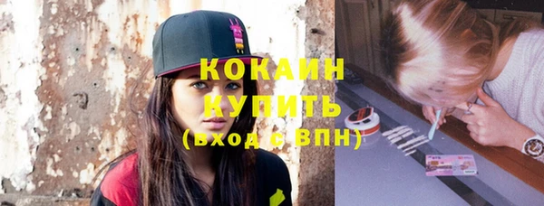 шишки Горнозаводск