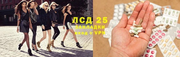 шишки Горнозаводск