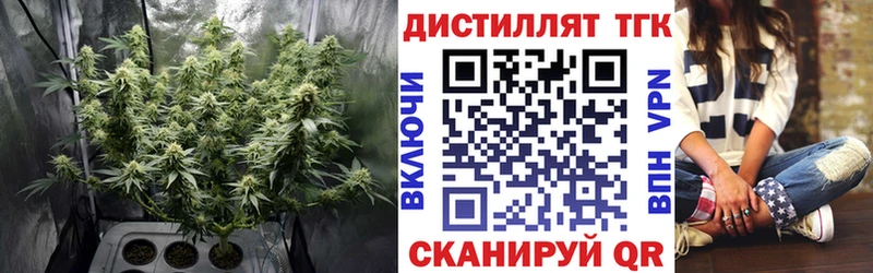 ТГК концентрат  Купить  Переславль-Залесский 