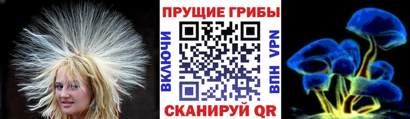 Купить  Переславль-Залесский  Псилоцибиновые грибы MAGIC MUSHROOMS 